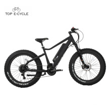 High quality 750w Bafang mid drive motor fat tire electric bicycle 2017